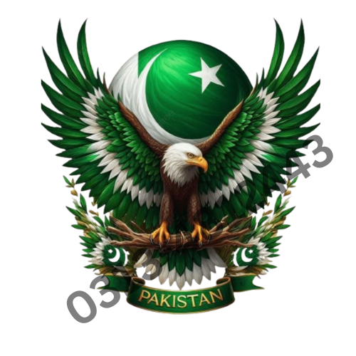 Heat Transfer Doll Patch